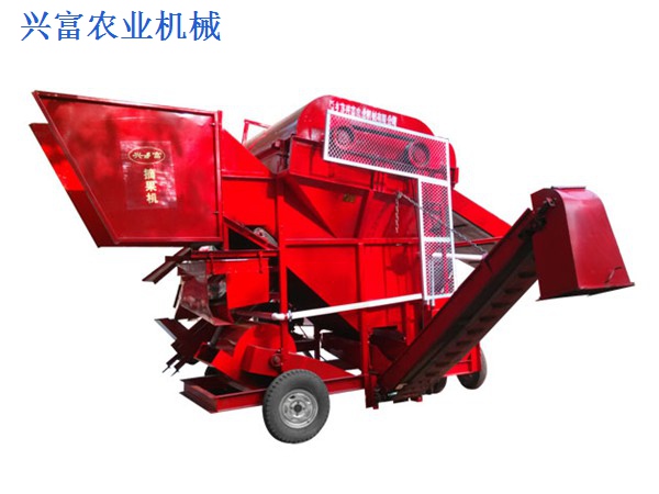 花生的，營(yíng)養(yǎng)的